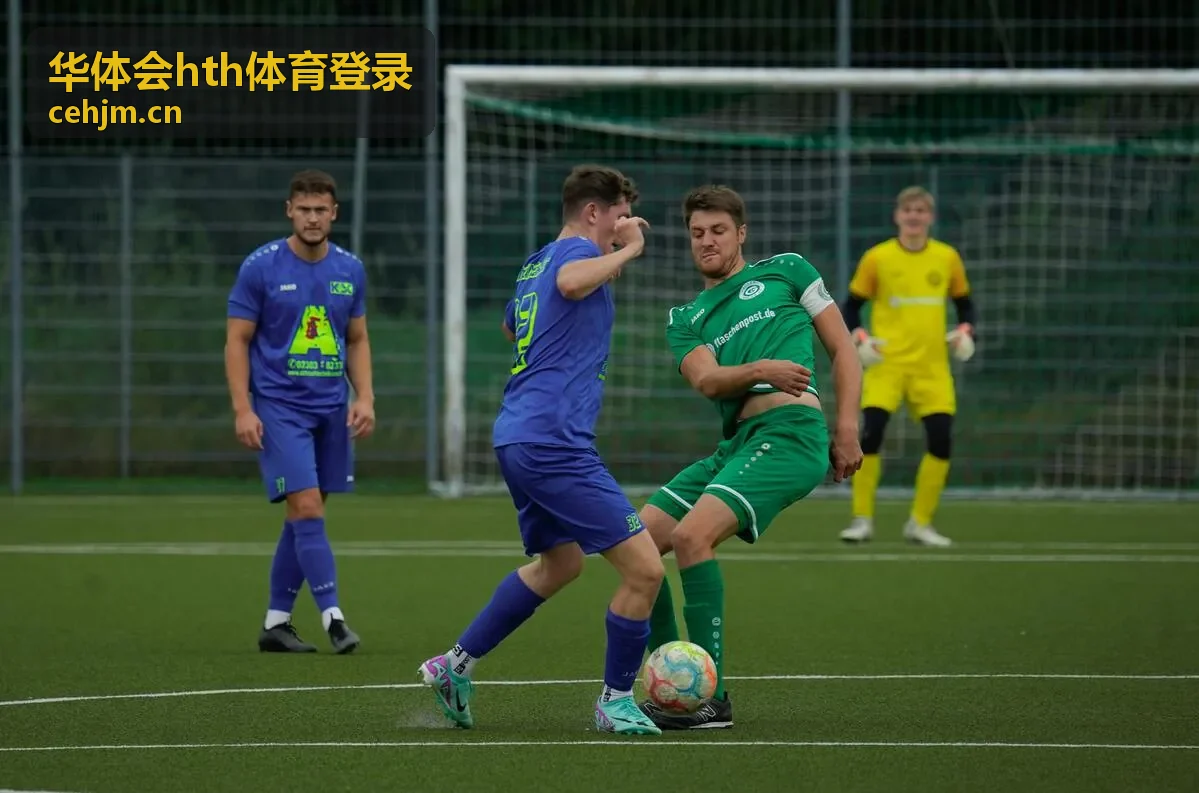 华体会hth体育登录新手入门指南